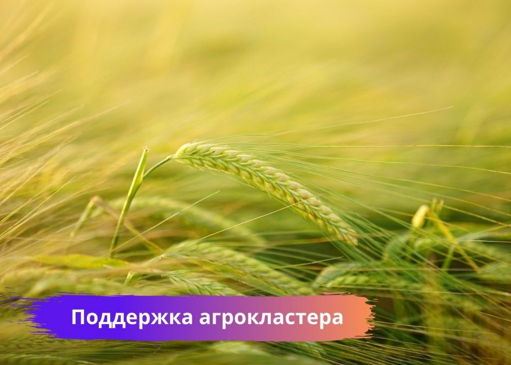 Добавьте подзаголовок 2